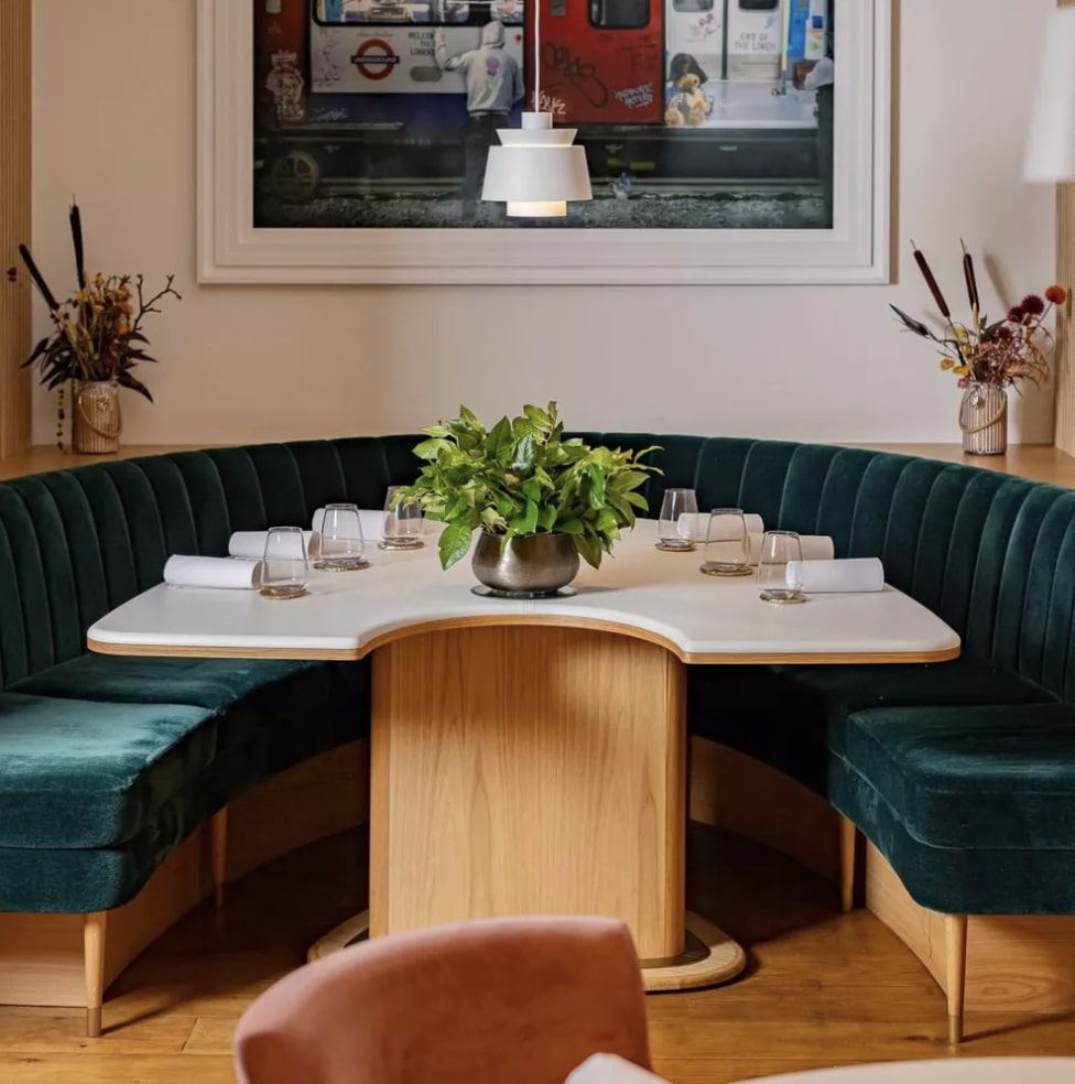 Frog by Adam Handling