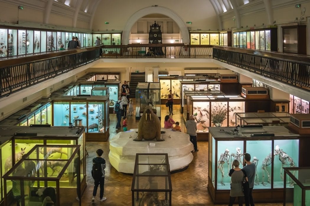 Horniman Museum