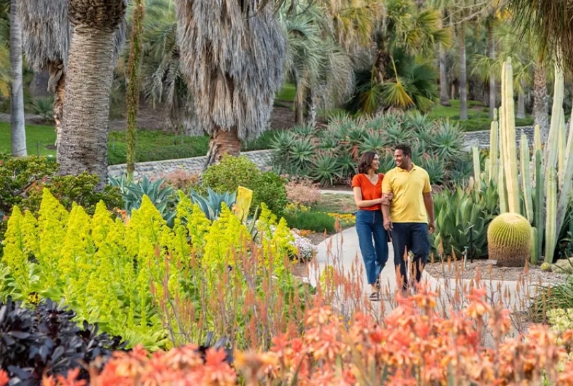 The Huntington Library, Art Museum, and Botanical Gardensv