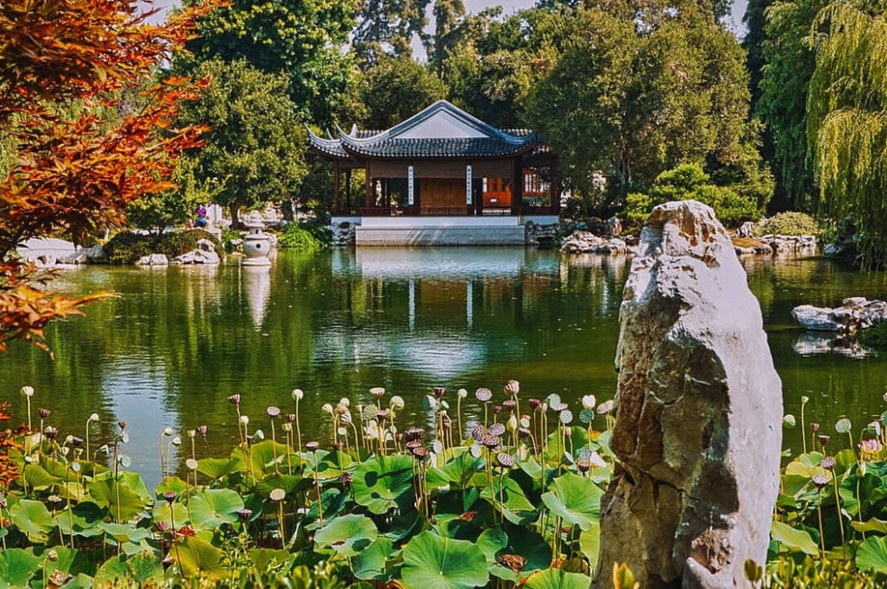 Библиотека Хантингтона, Художественный музей и Ботанический сад