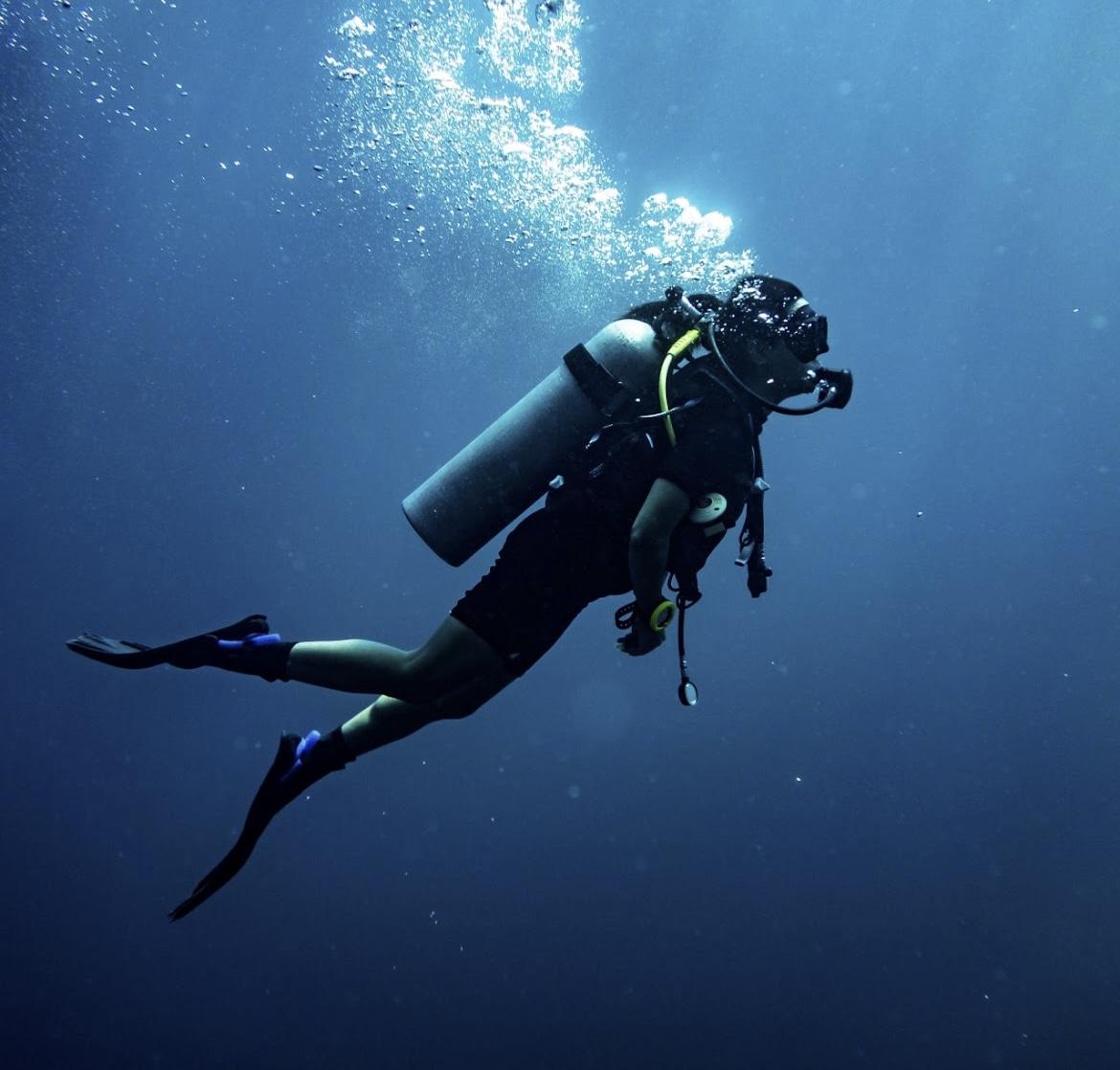 Scuba Diving In Miami — Squalo Divers