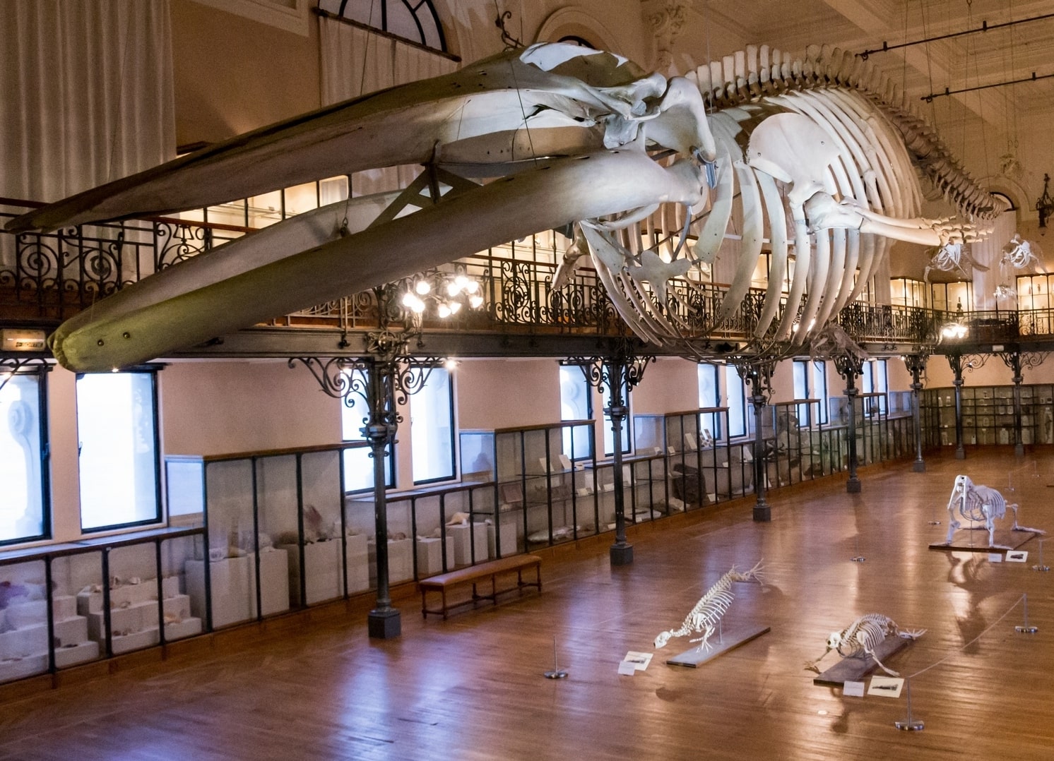 Musée Océanographique de Monaco