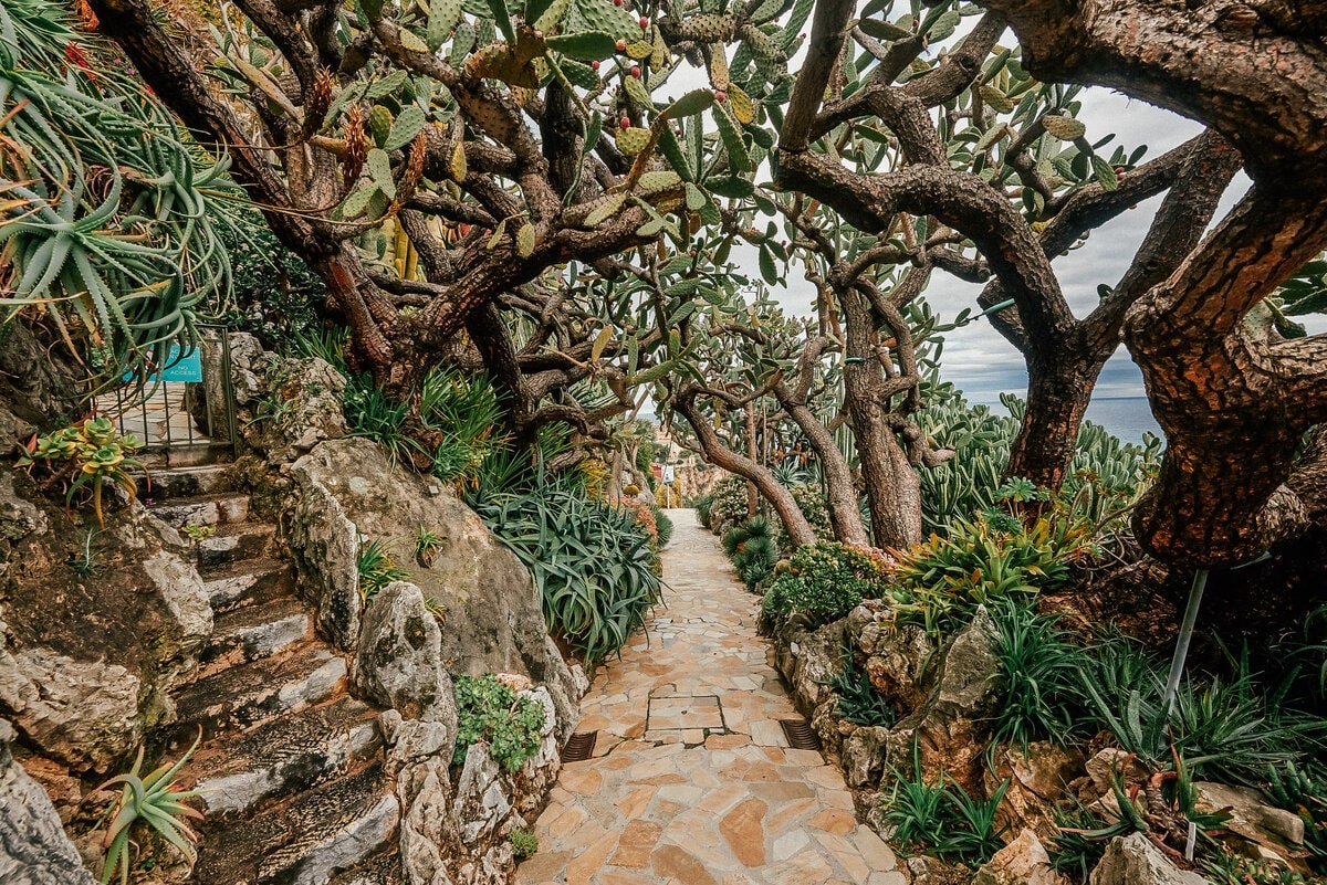 Jardin Exotique de Monaco