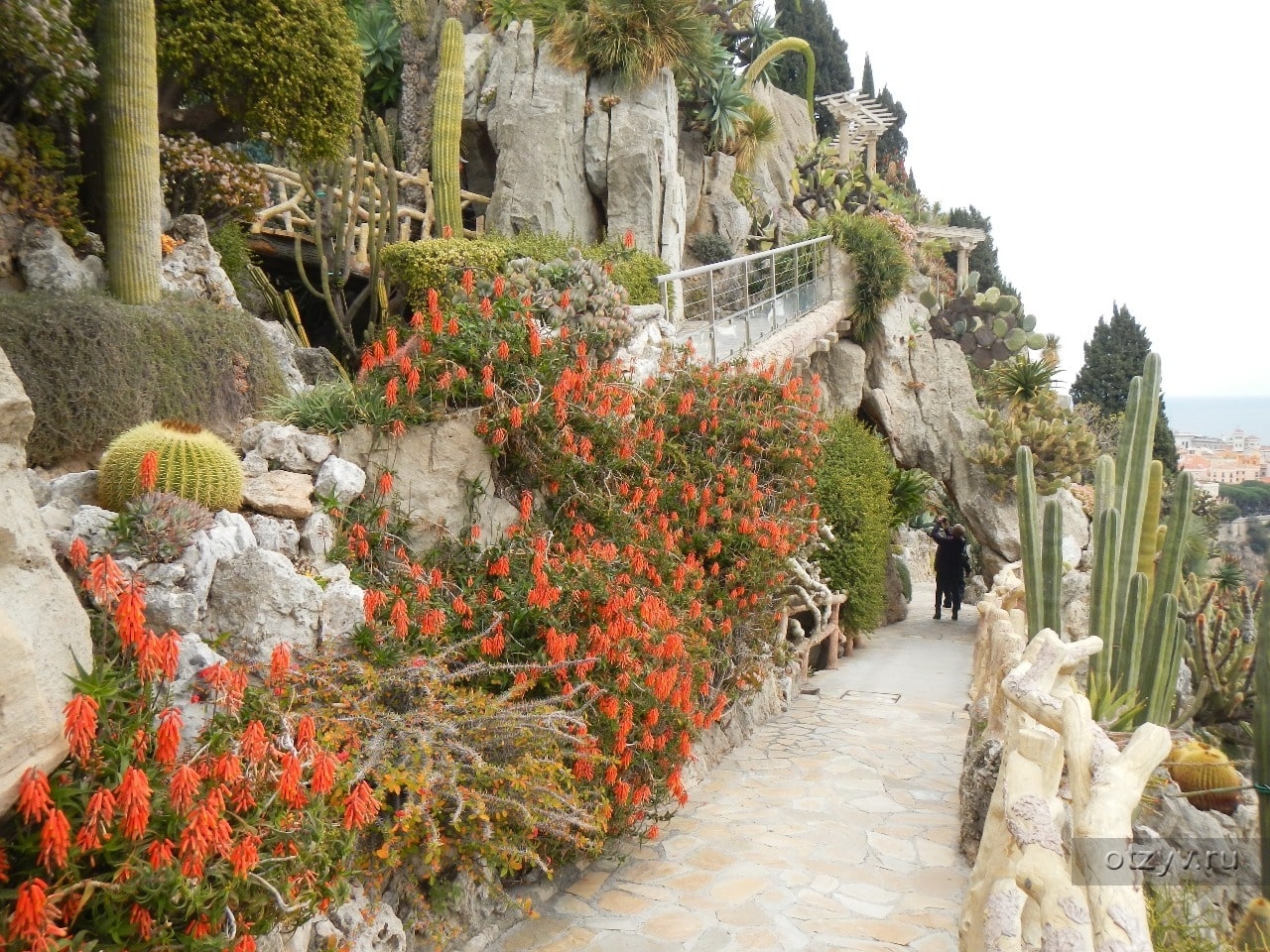 Jardin Exotique de Monaco