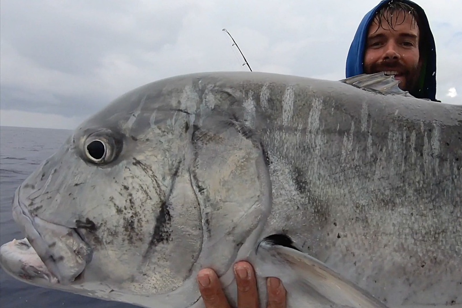 Yachting Fishing Specialist