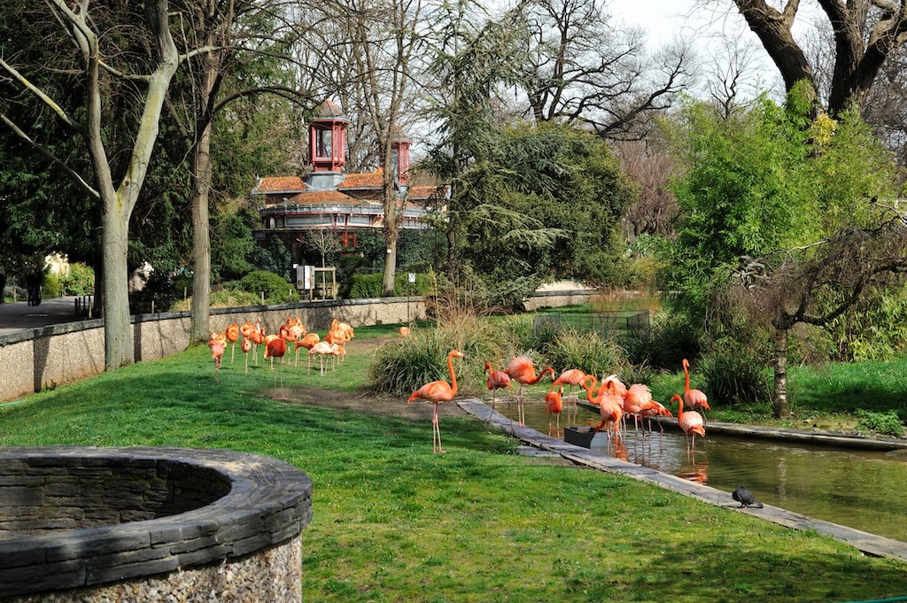 Jardin des Plantes