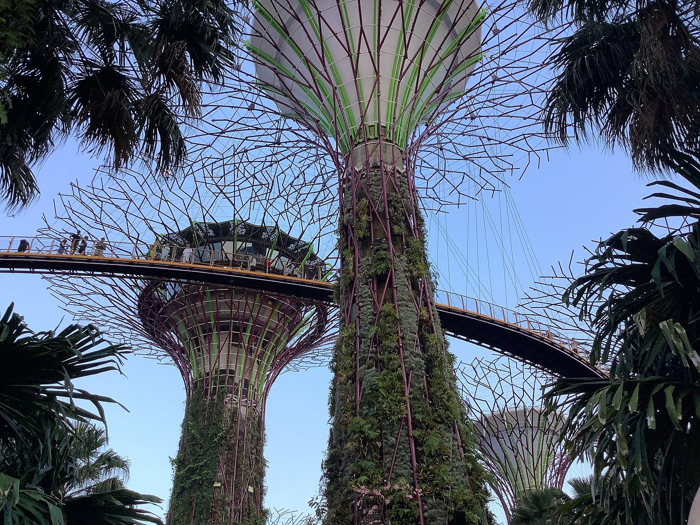 Gardens by the Bay