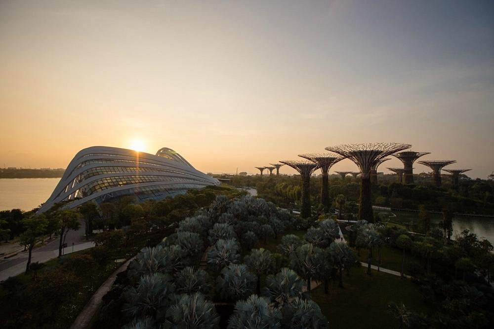 Gardens by the Bay