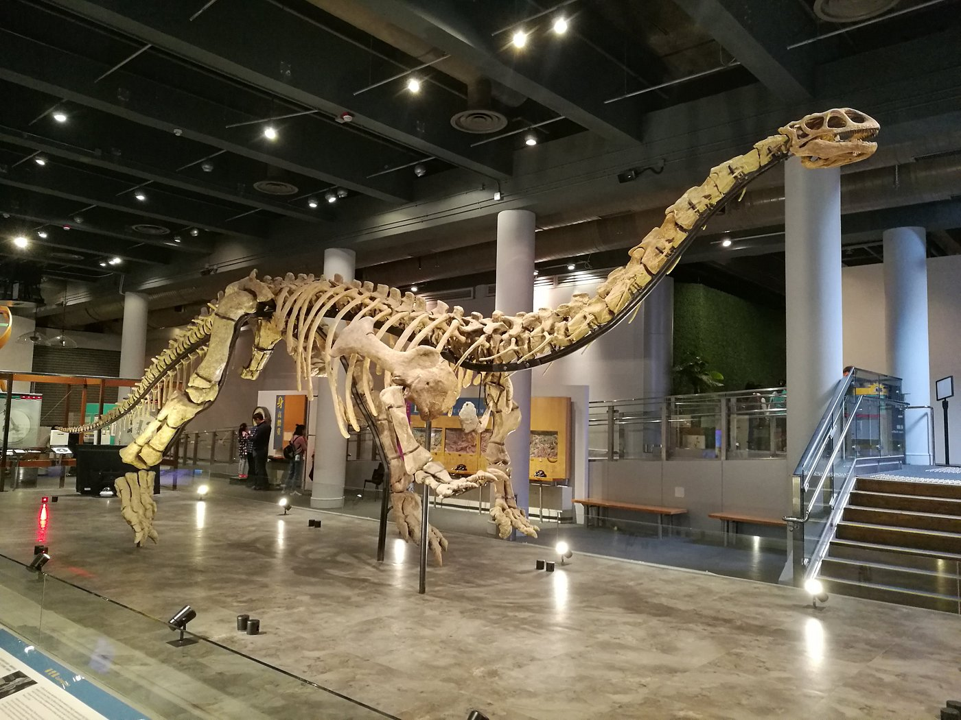 Hong Kong Science Museum