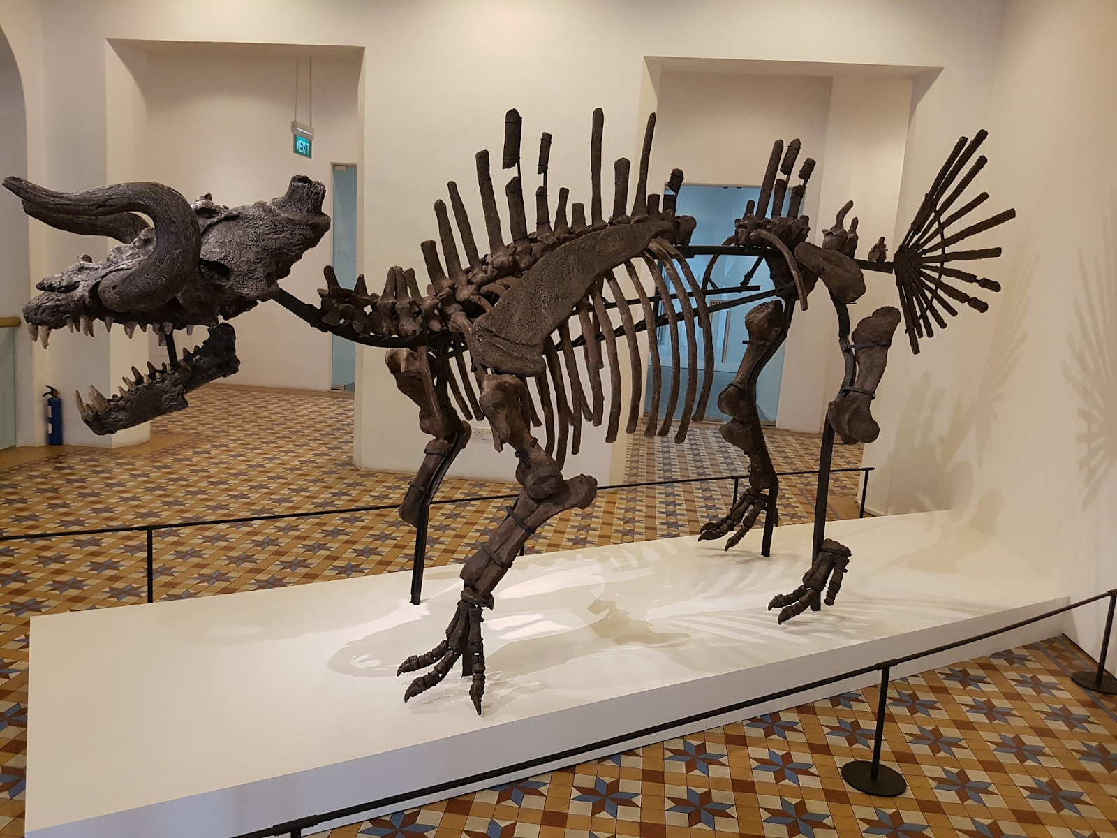 Singapore Art Museum