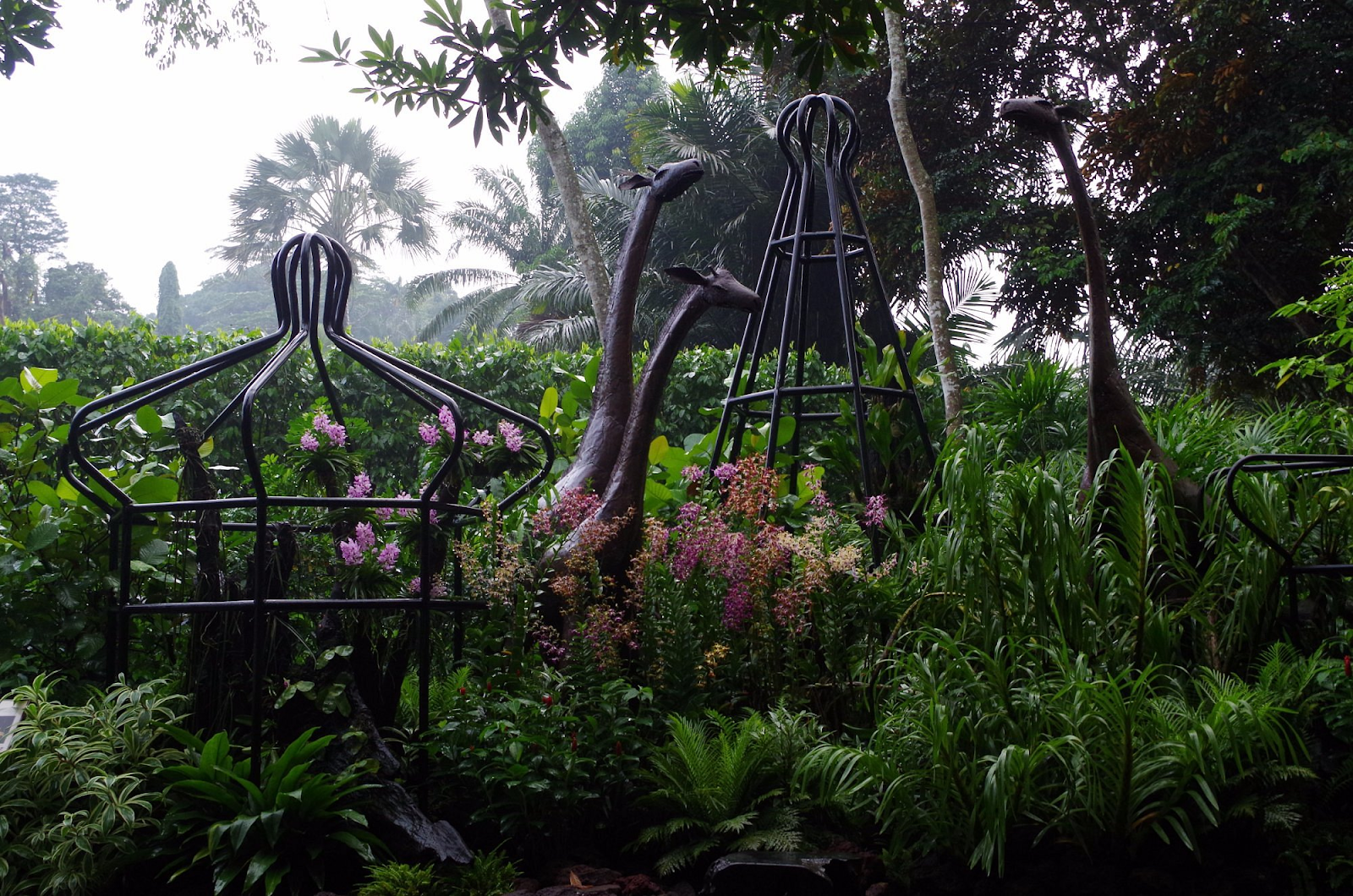 Singapore Botanic Gardens