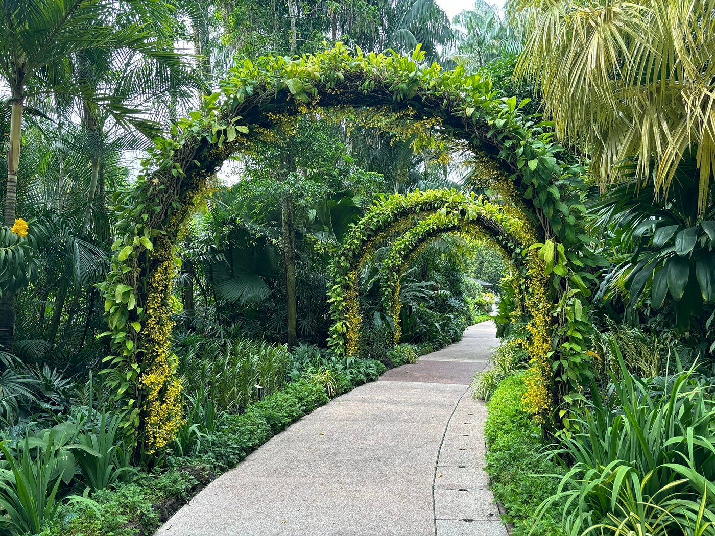 Singapore Botanic Gardens