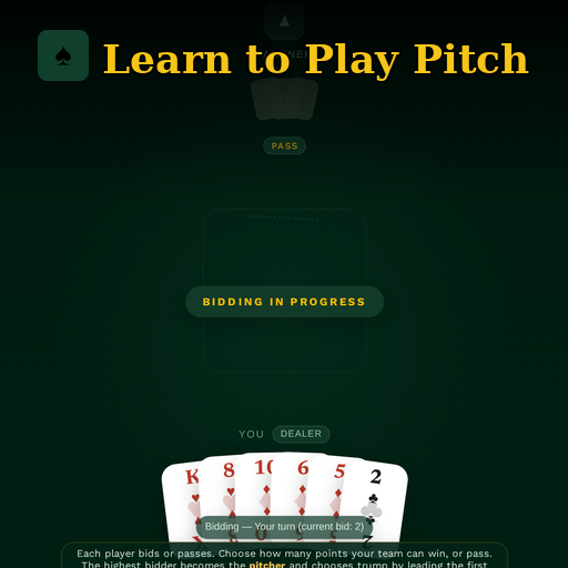 Learn to Play Pitch app icon