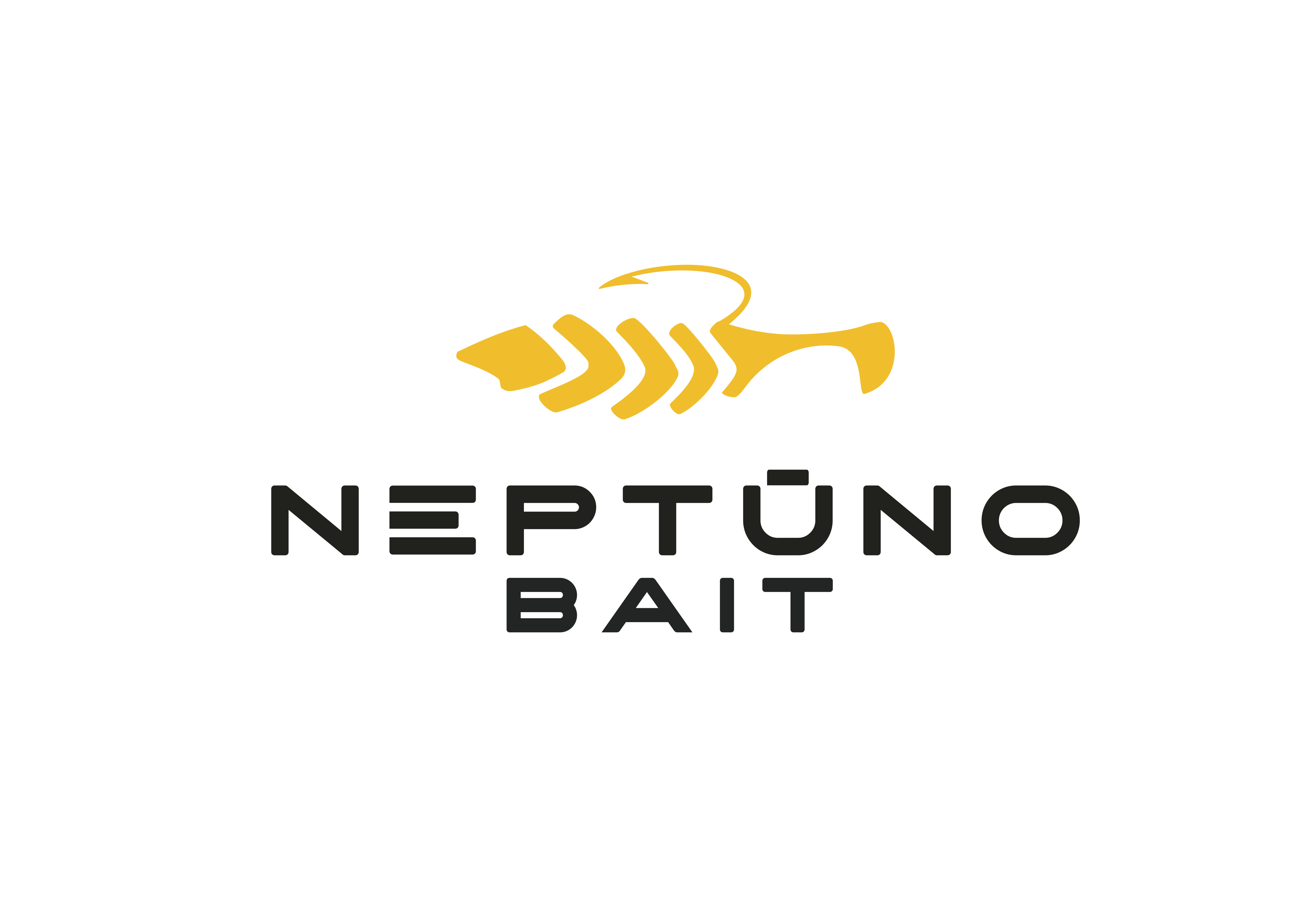 Neptuno Baits