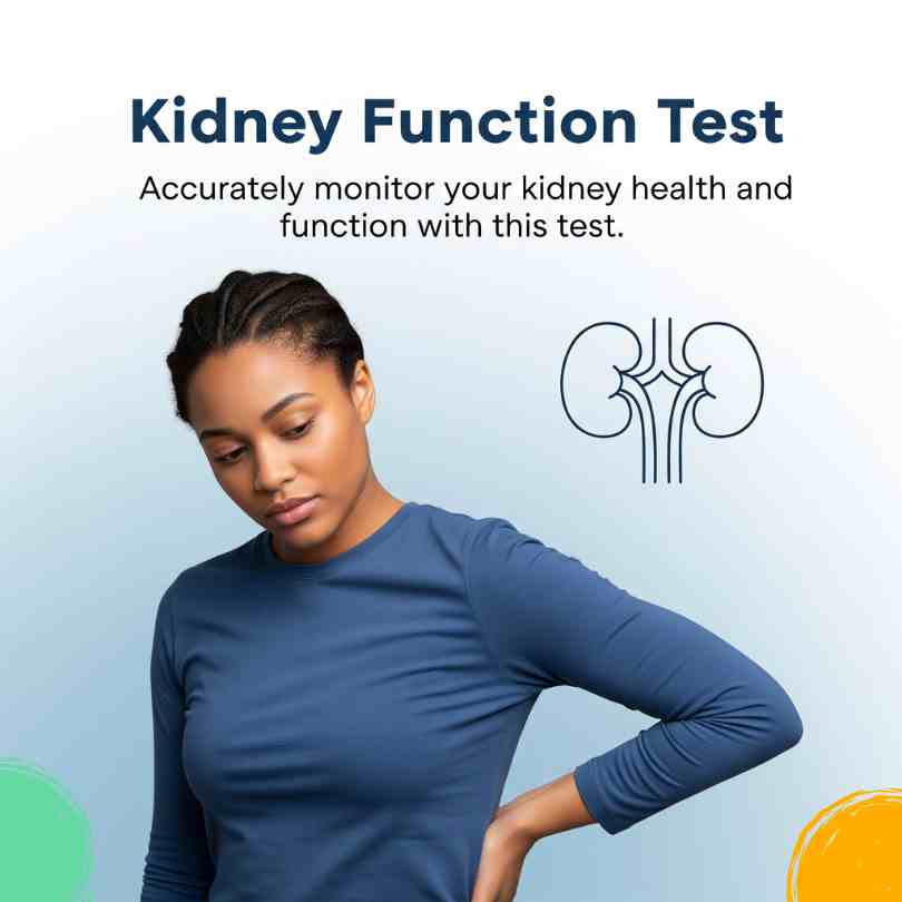 Kidney Function Test