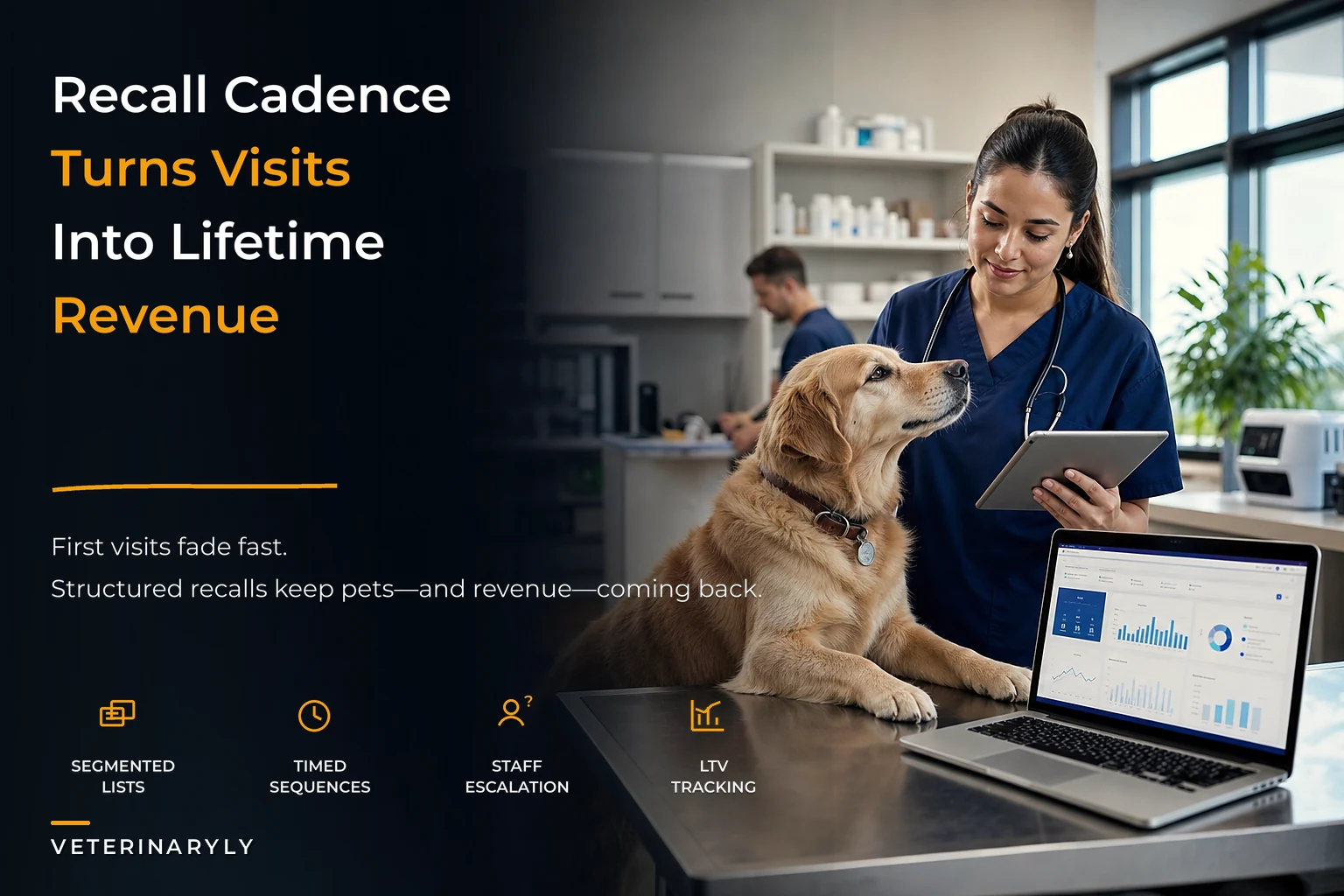From First Visit to Lifetime Value: A Veterinary Client Retention System That Predicts Revenue