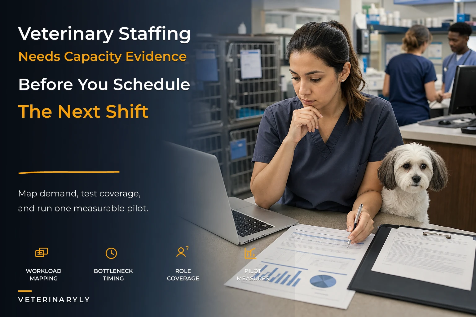 Veterinary Capacity-Based Staffing: Evidence Brief and CE Session Toolkit for Practice Managers