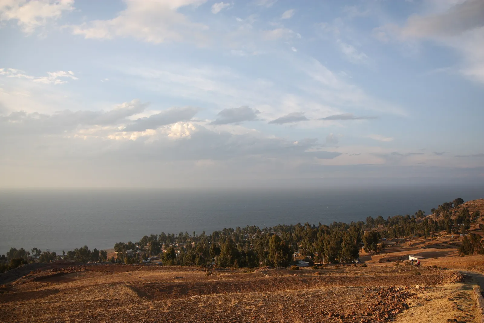 Andenes, eucaliptos y casas dispersas en la isla Amantaní, con el lago Titicaca al fondo