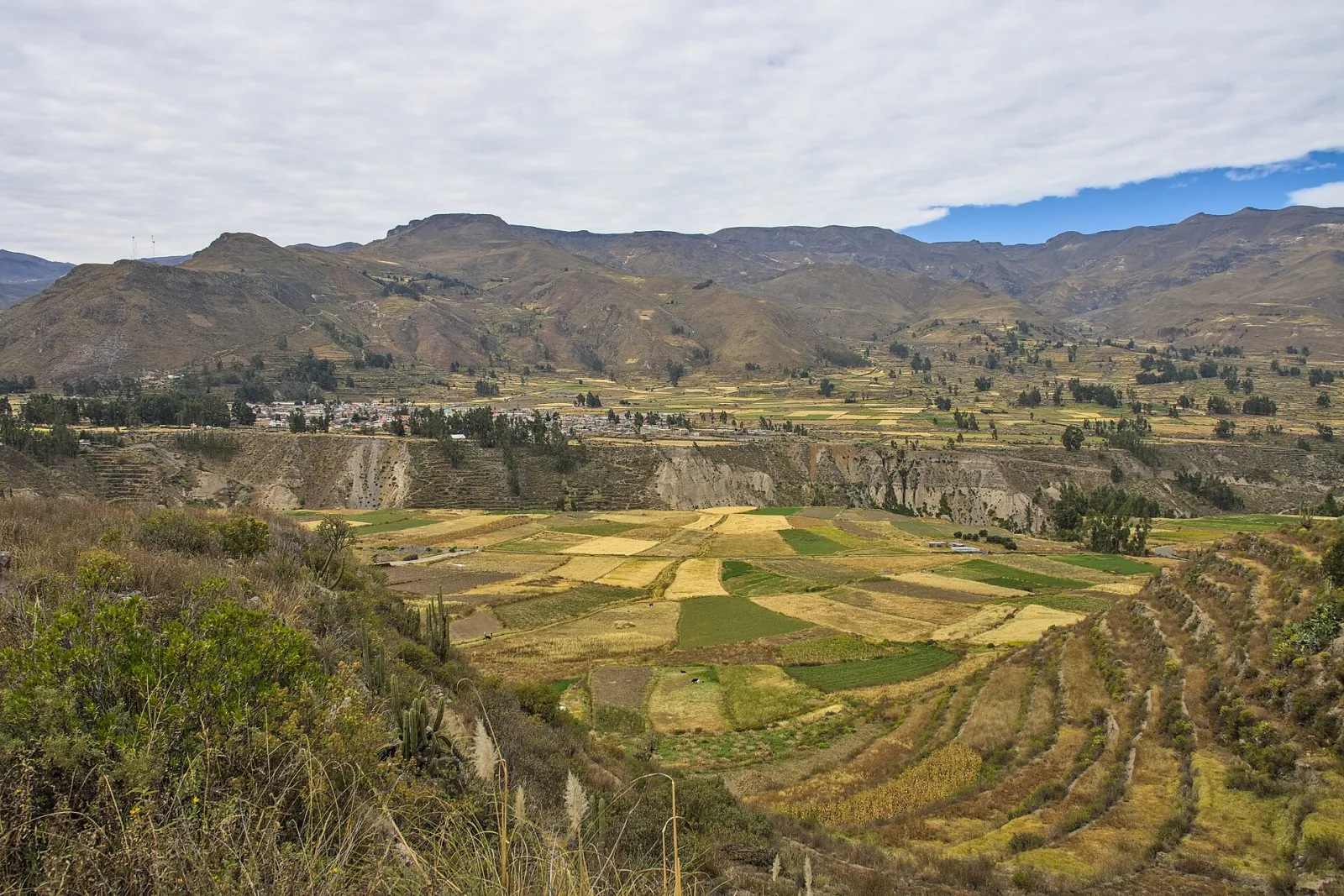 Farming terraces in the Colca valley near Uyo Uyo, Yanque district