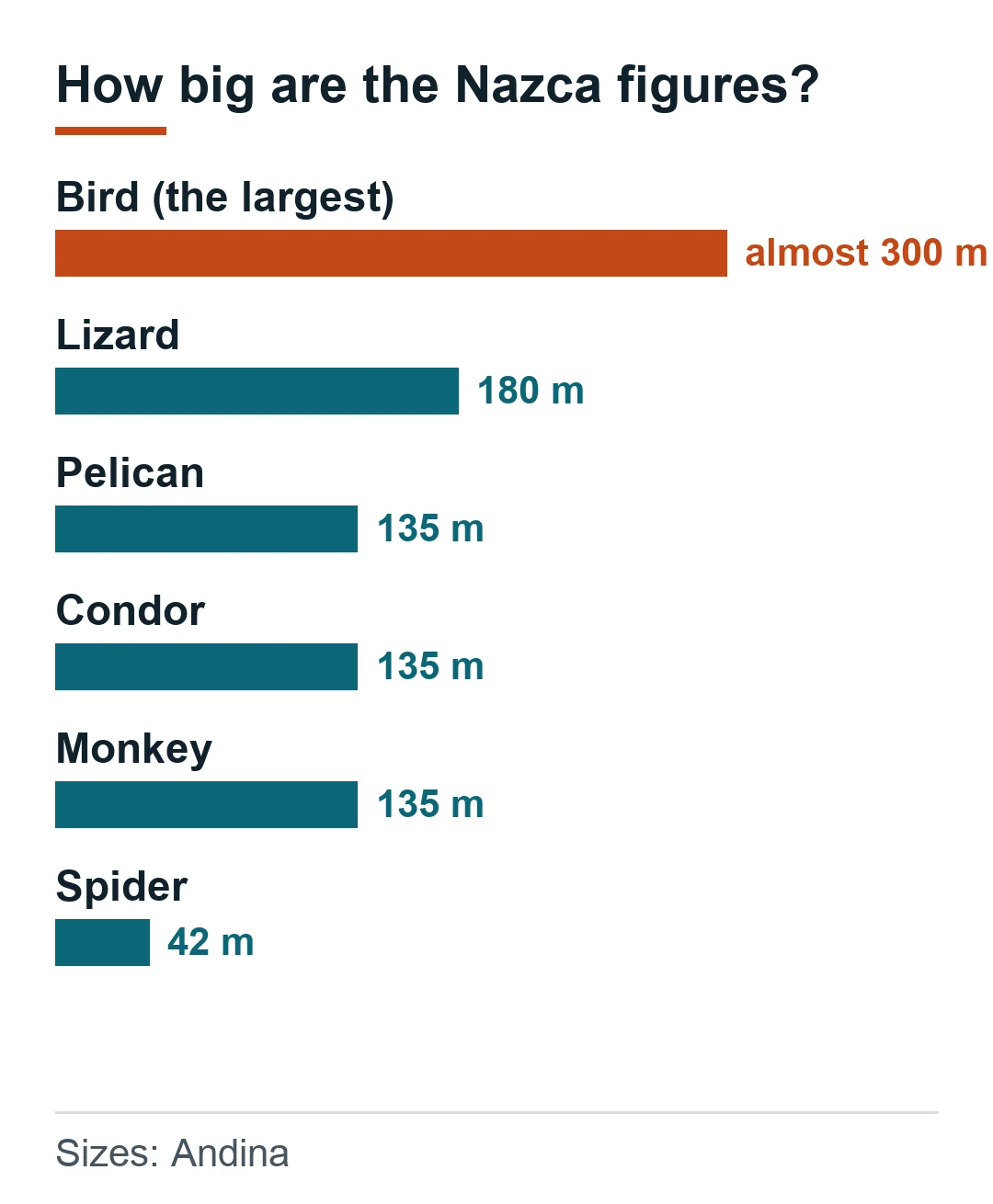 Size of the Nazca figures according to Andina: bird almost 300 m, lizard 180 m, pelican, condor and monkey 135 m, spider 42 m