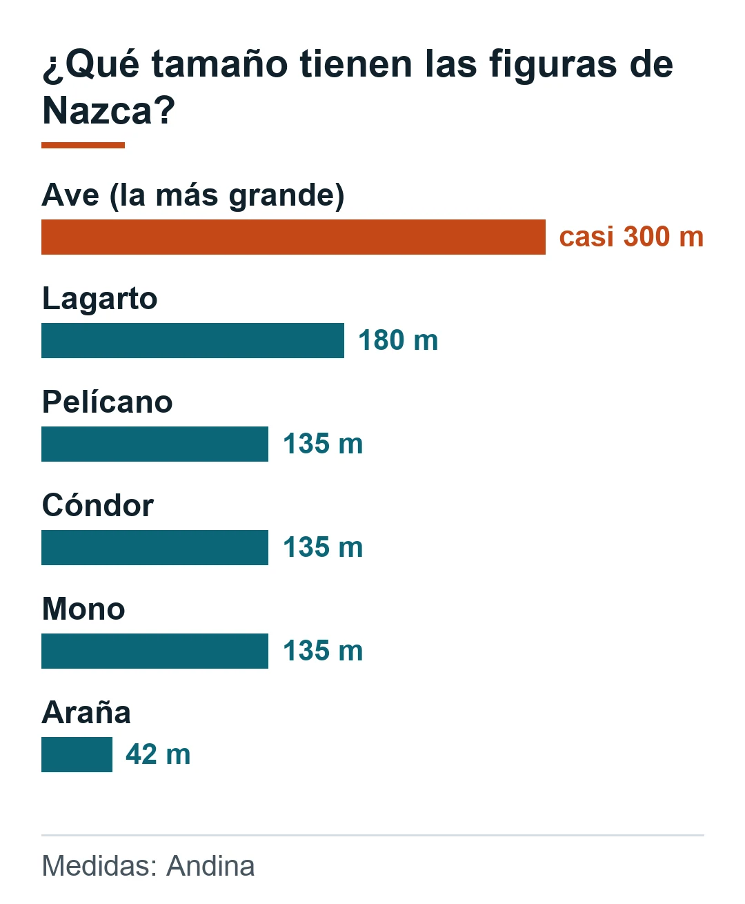 Tamaño de las figuras de Nazca según Andina: ave casi 300 m, lagarto 180 m, pelícano, cóndor y mono 135 m, araña 42 m