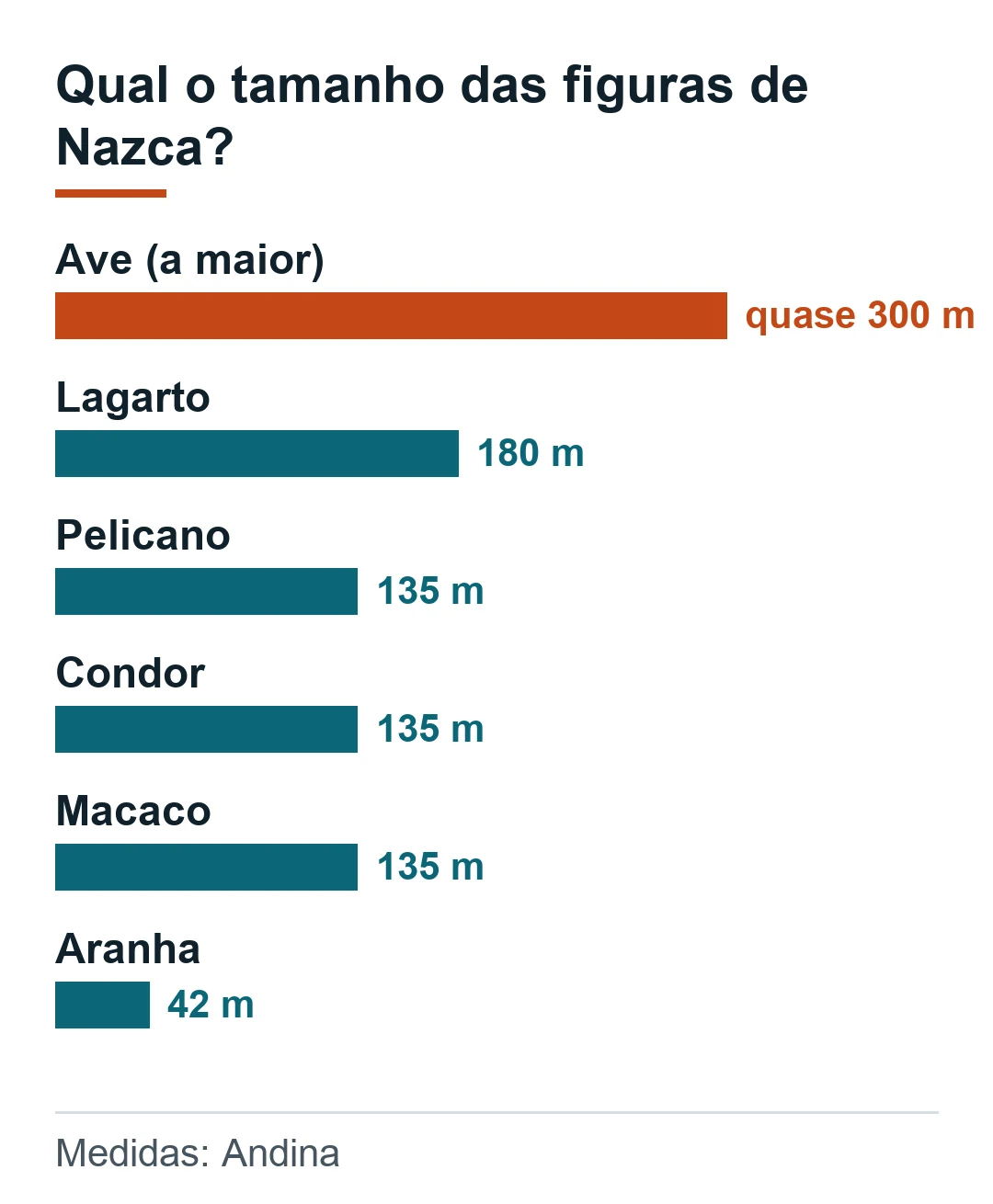 Tamanho das figuras de Nazca segundo a Andina: ave quase 300 m, lagarto 180 m, pelicano, condor e macaco 135 m, aranha 42 m