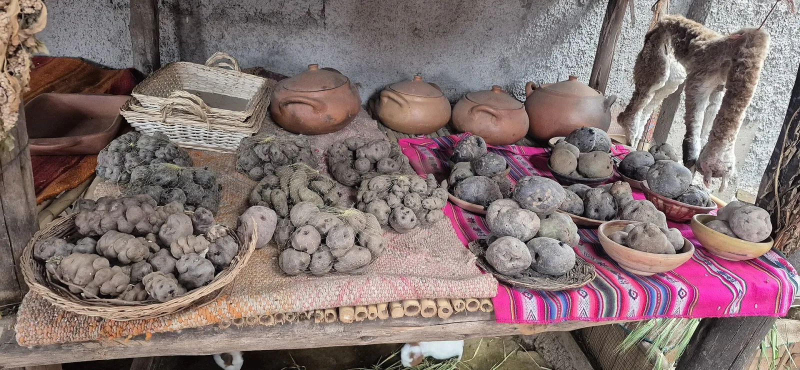 Native Andean potatoes and dried potatoes displayed in baskets and clay bowls