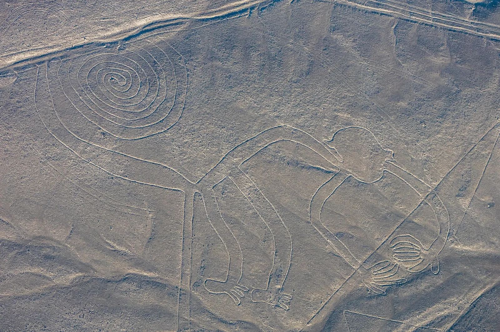 Aerial view of the monkey geoglyph with its spiral tail