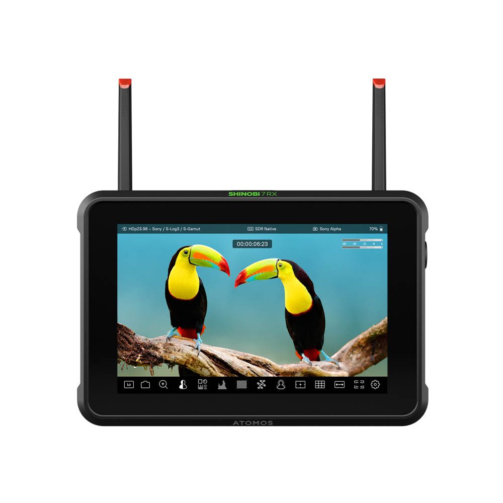 Atomos Shinobi Monitor + Cage Kit