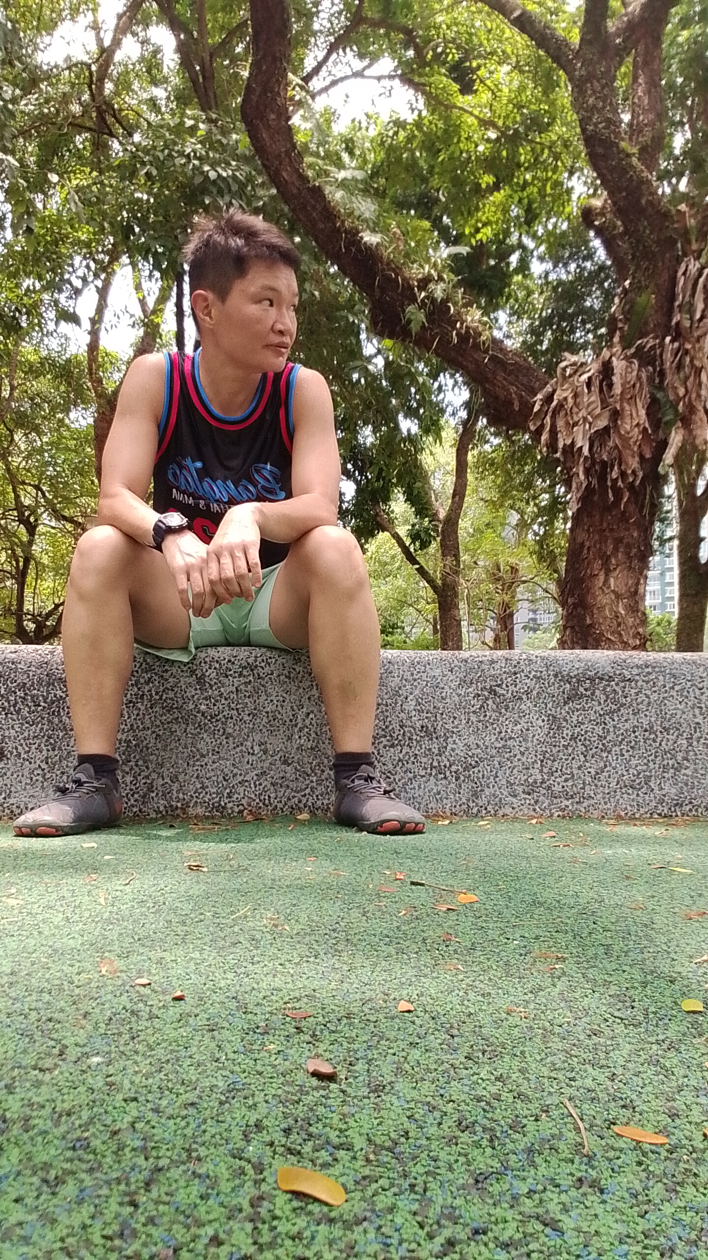 cheng8006