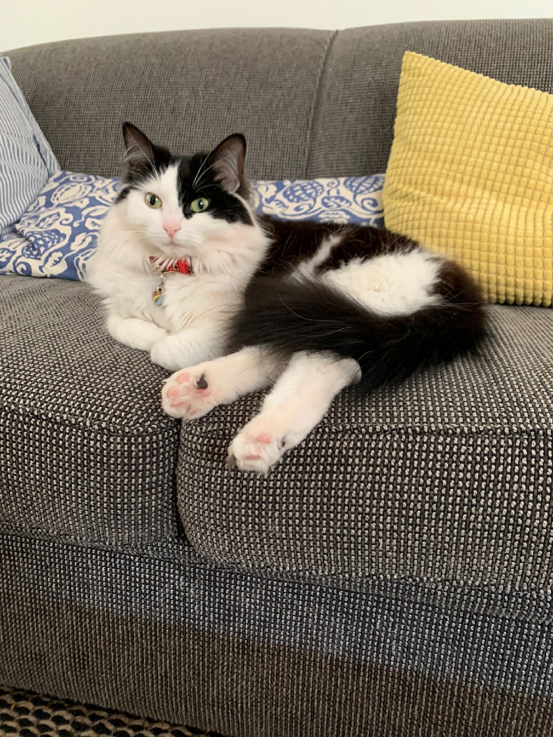 audrey