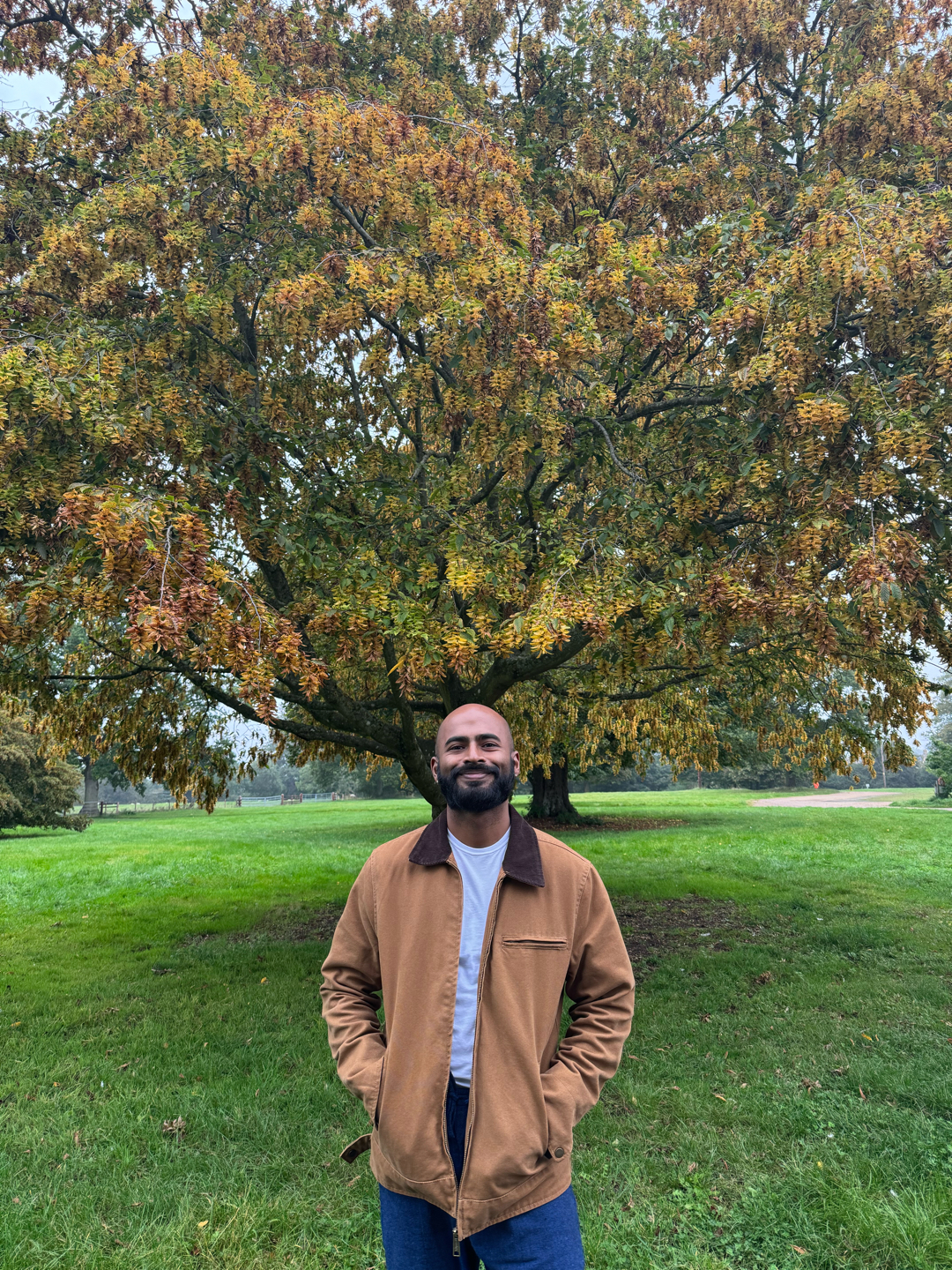 hownowbrownkow