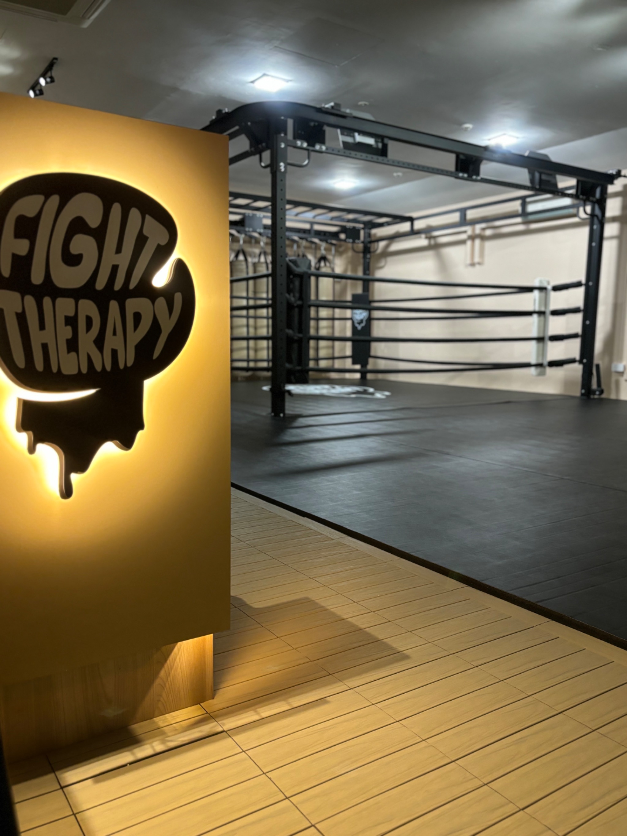 FIGHT THERAPY