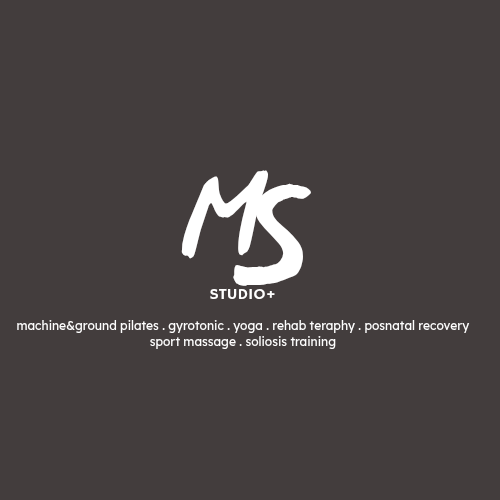 MS STUDIO + logo