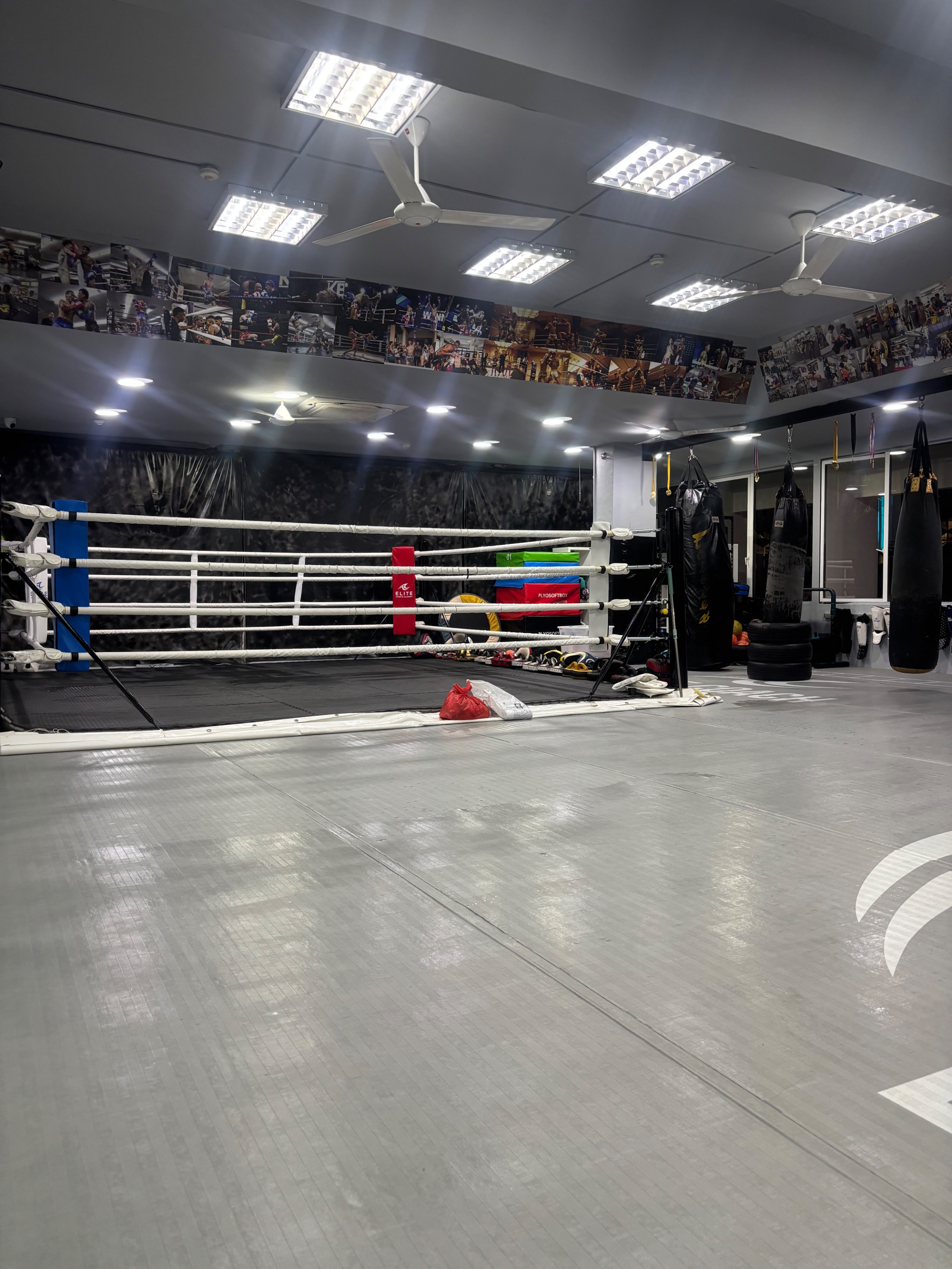 Gifted Fight Academy 