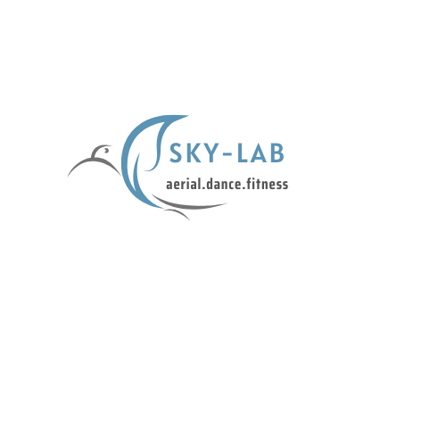 SKYLAB AERIAL  logo
