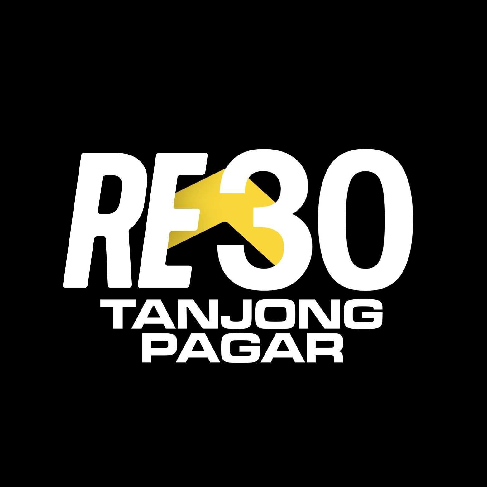 RE30 logo