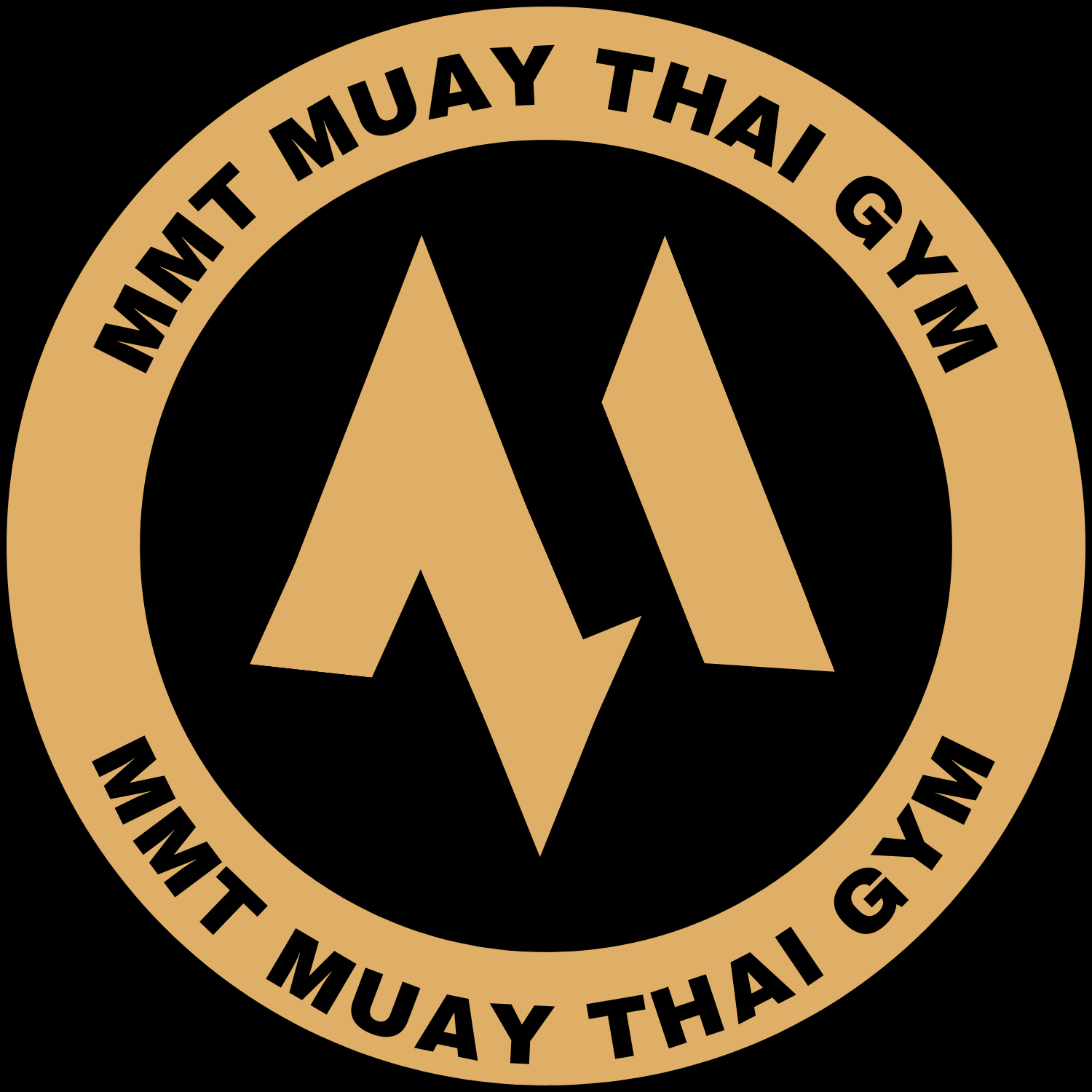 MMT Muay Thai Gym  logo