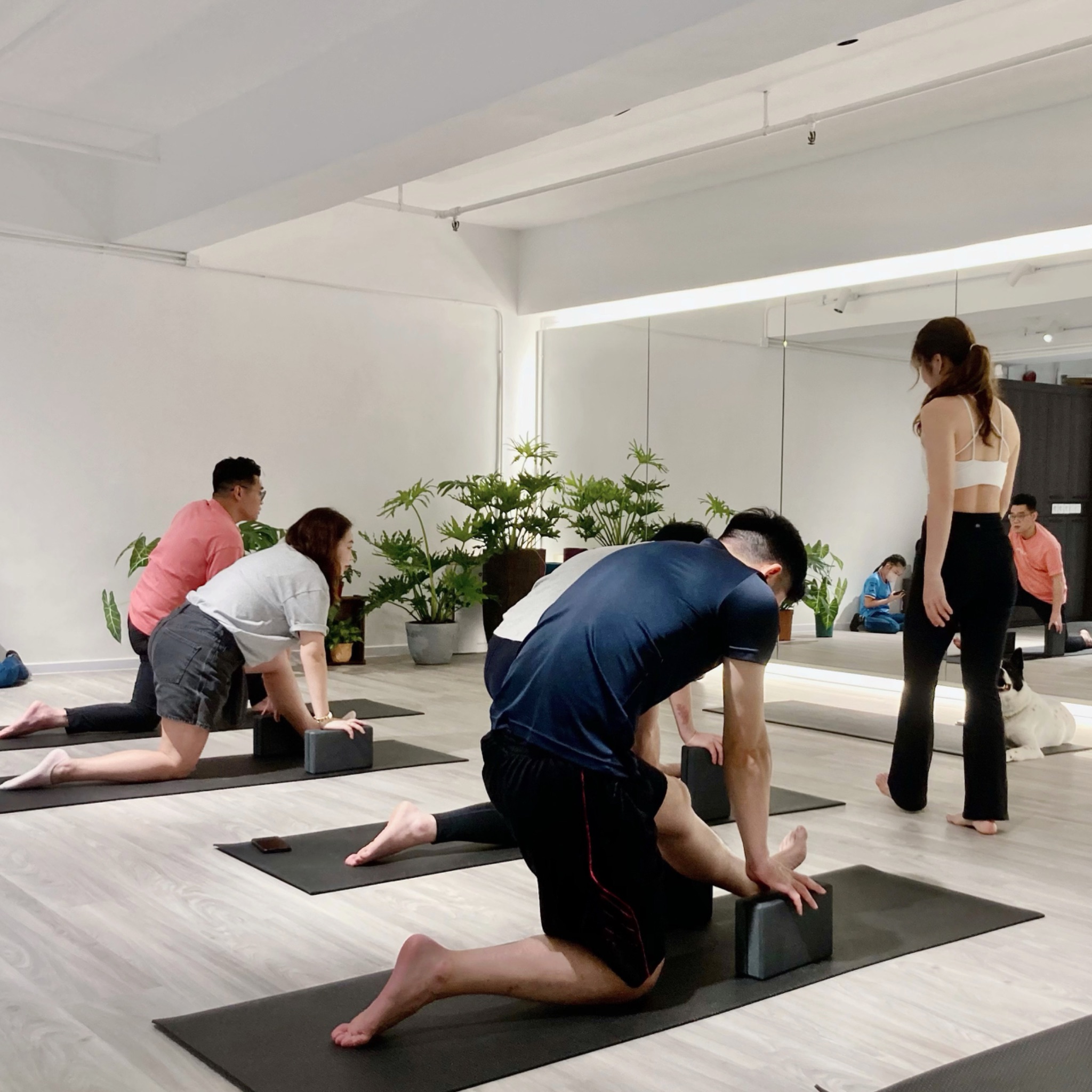 Yuja Yoga