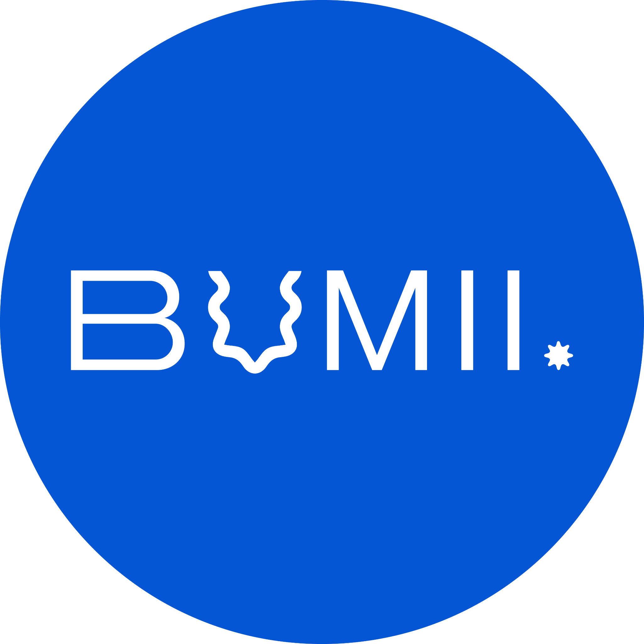 Bumii Pottery  logo