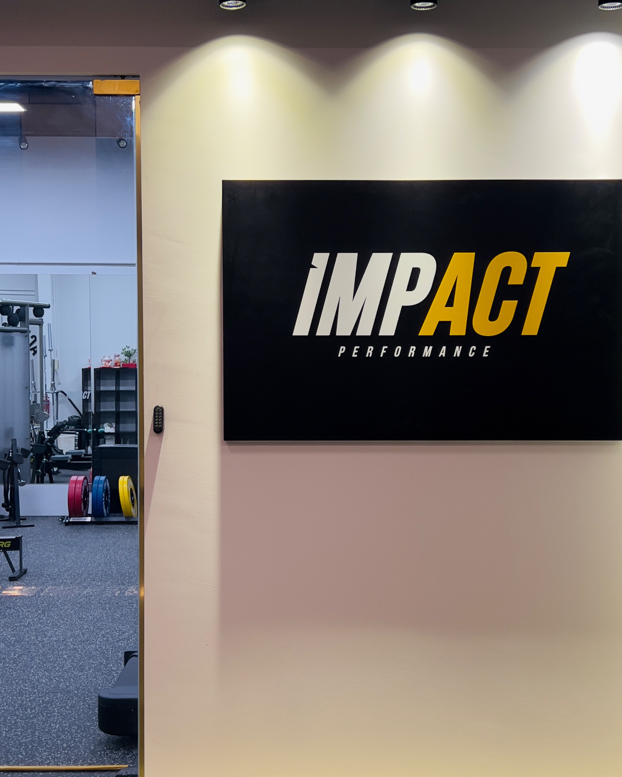 Impact Performance 