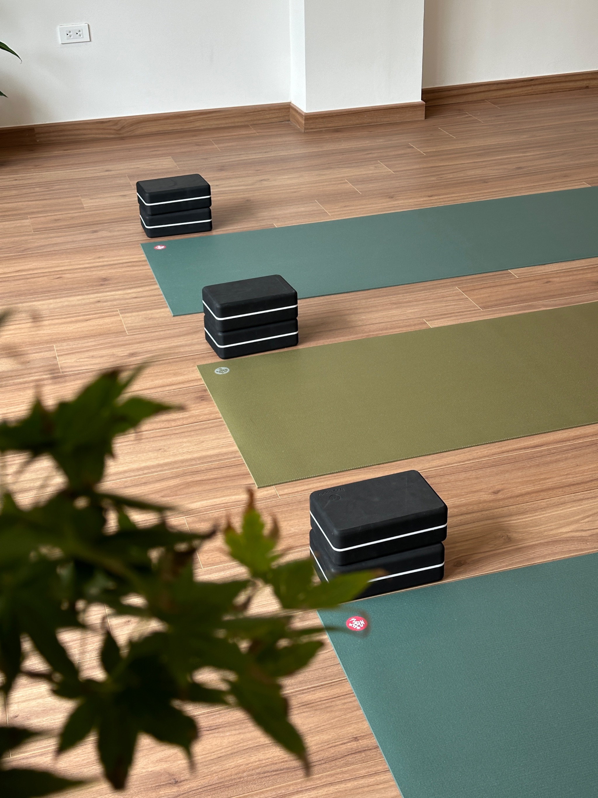 SAGE Wellness