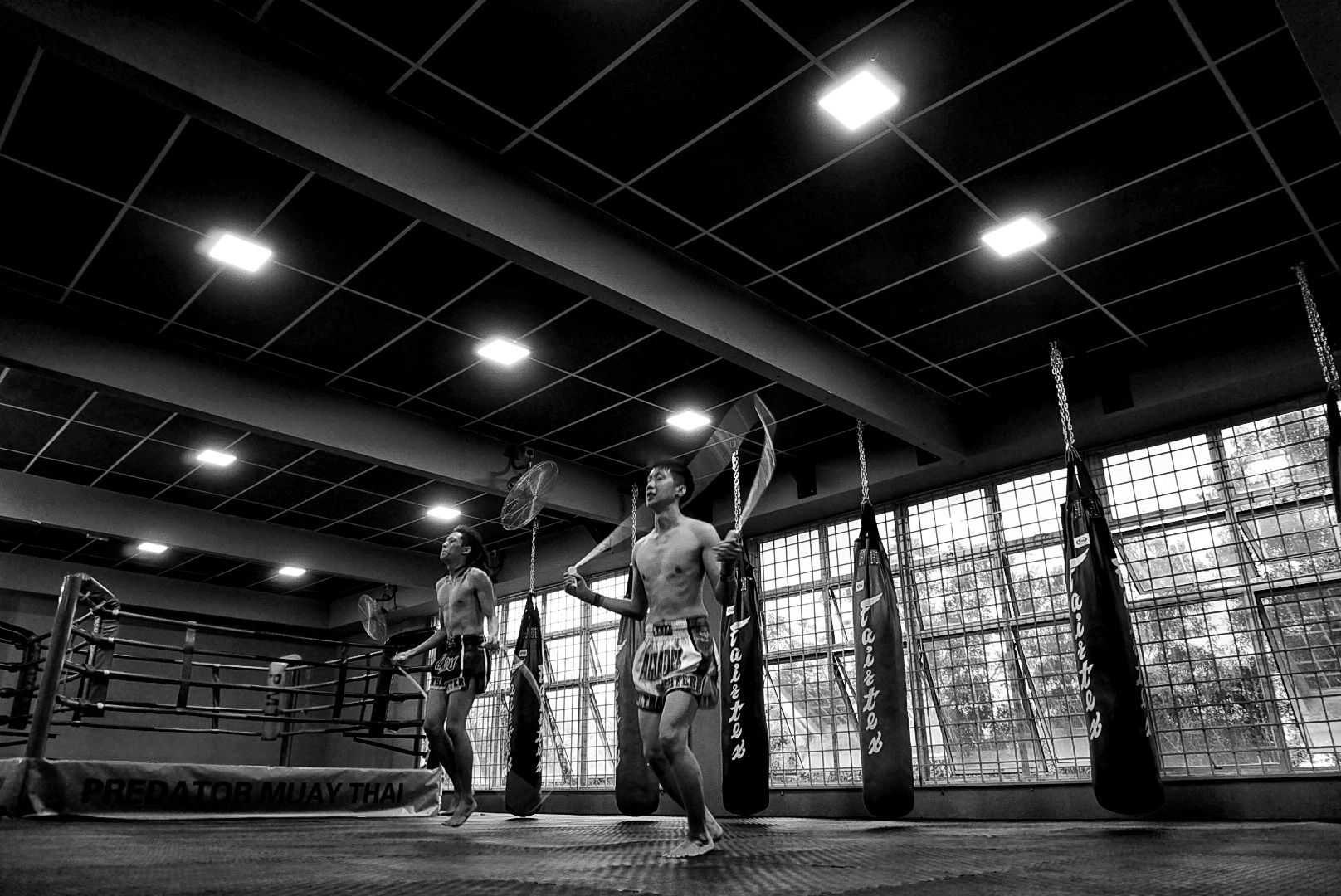 Predator Muay Thai Gym