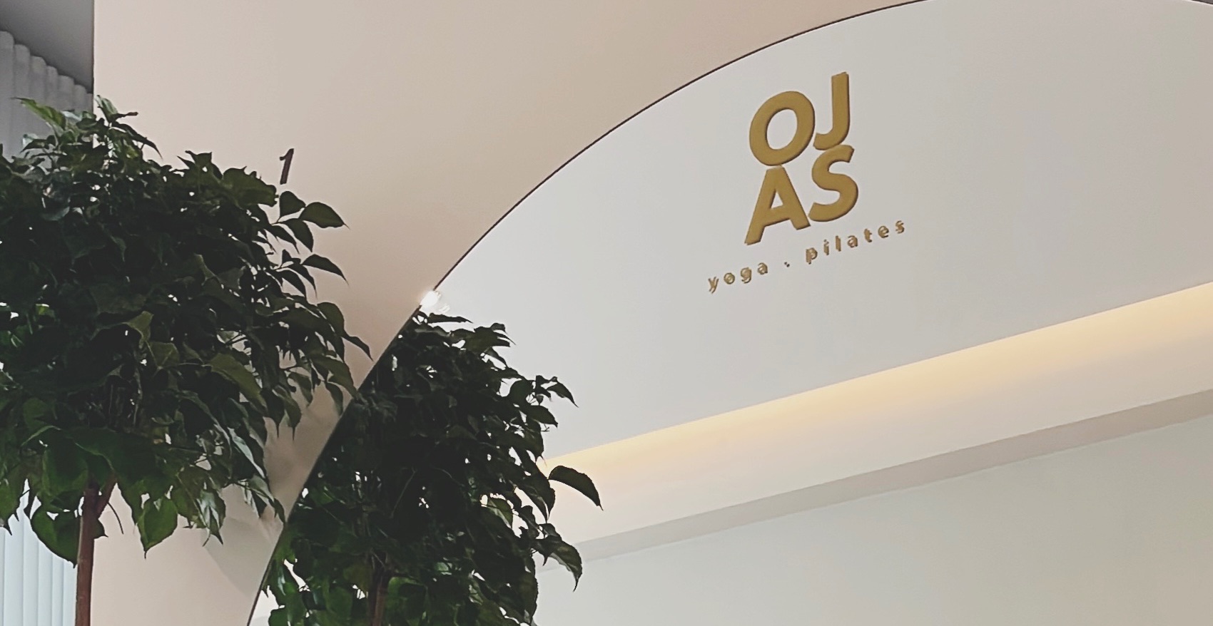 OJAS studio