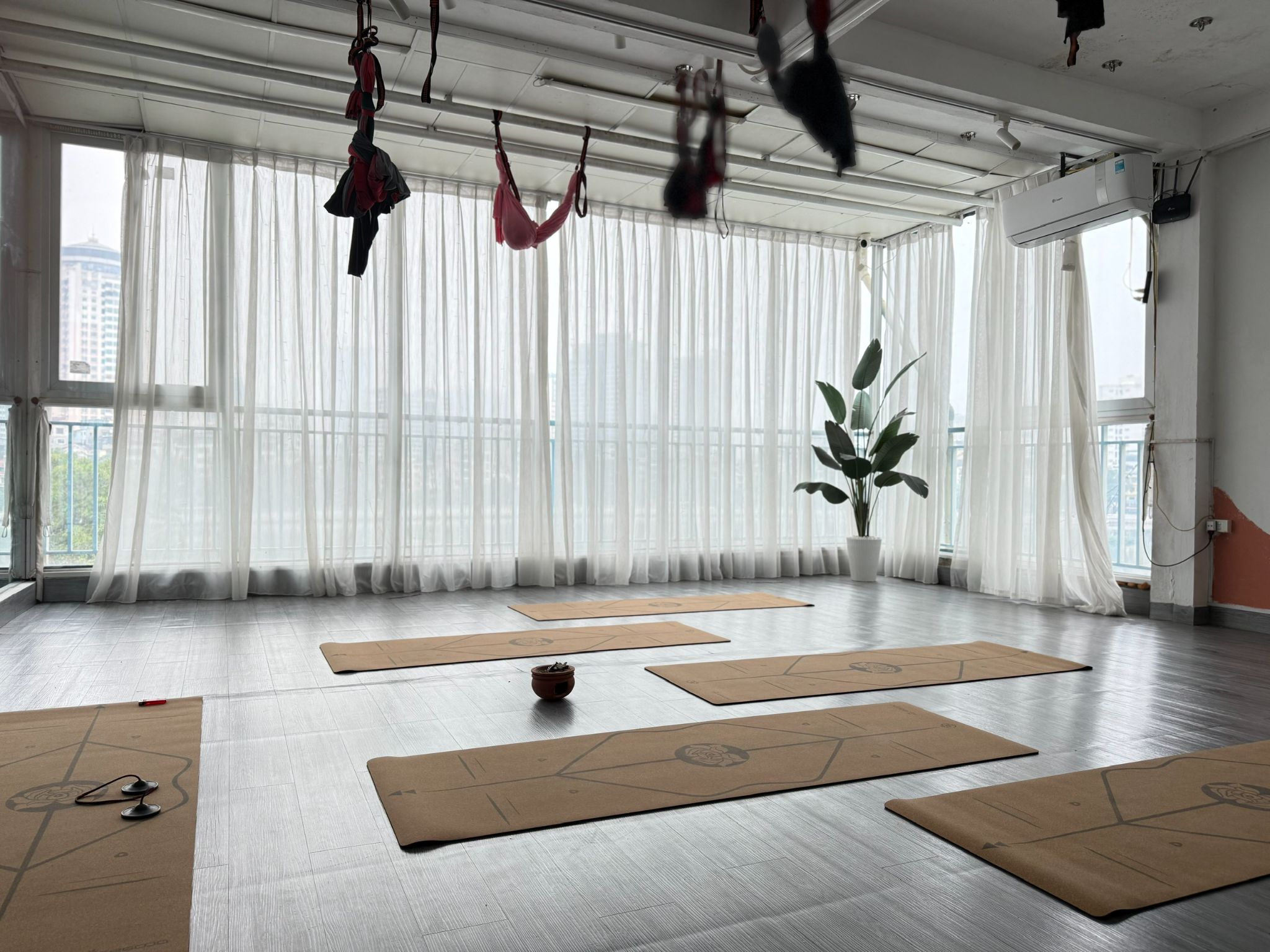 Yoga with Chope