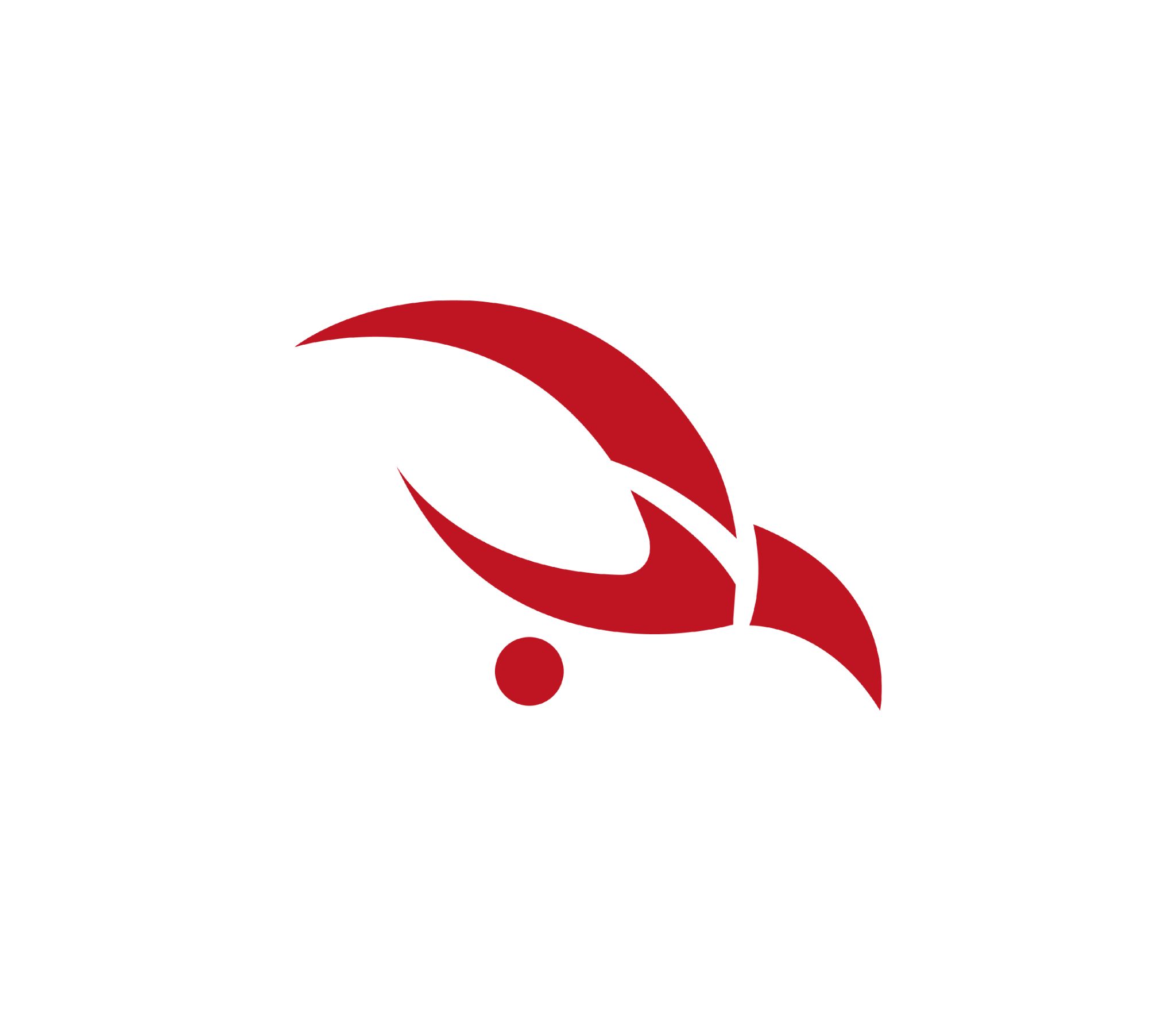Aerial Cheerleading Academy logo