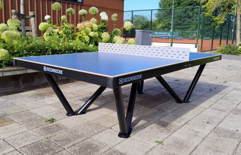Table Tennis in the Park?