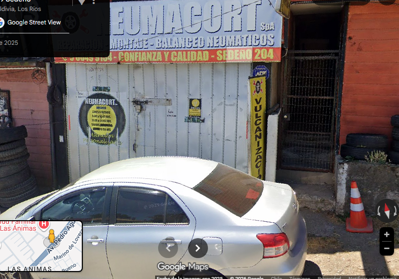 Imagen de NeumaCort SpA