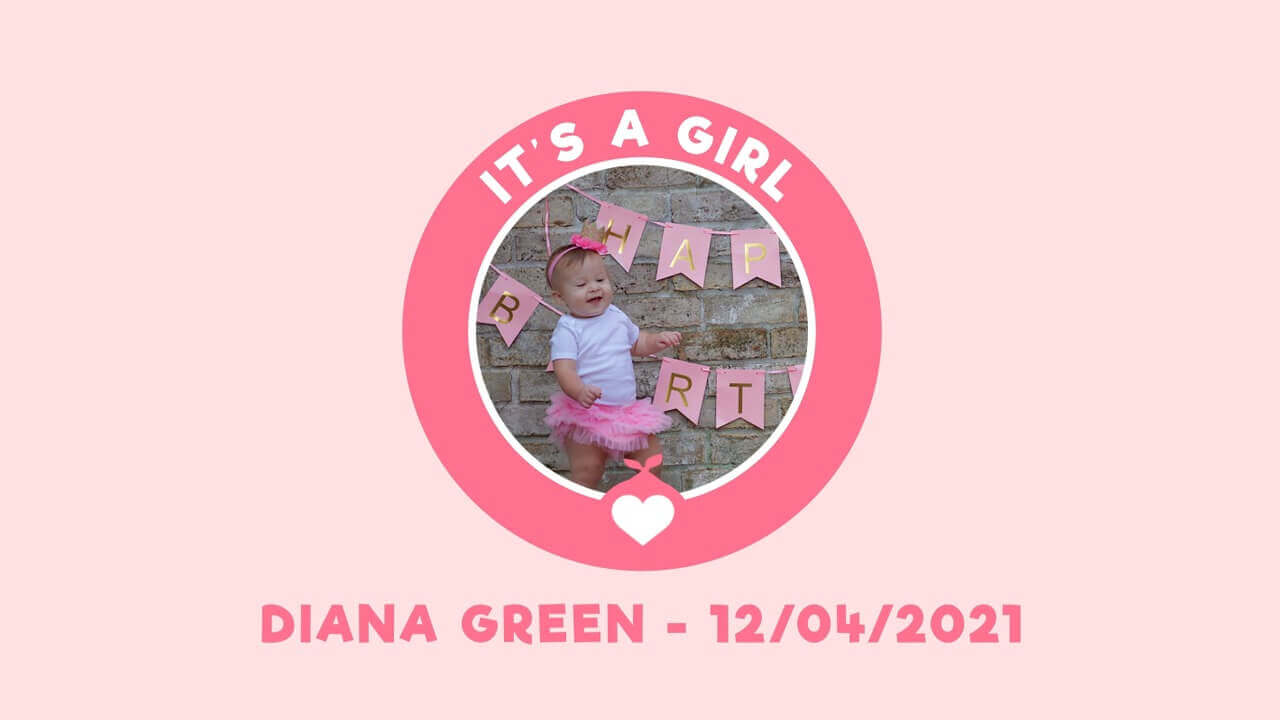 Stork Baby Girl Video Invitation