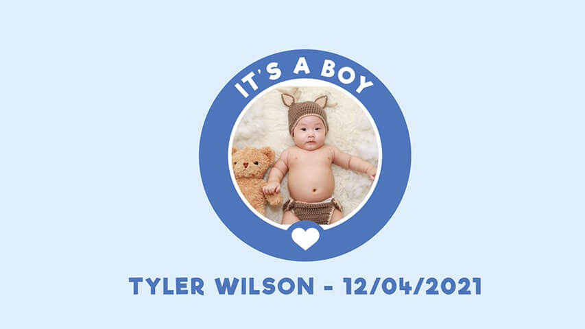 Stork Baby Boy Video Invitation